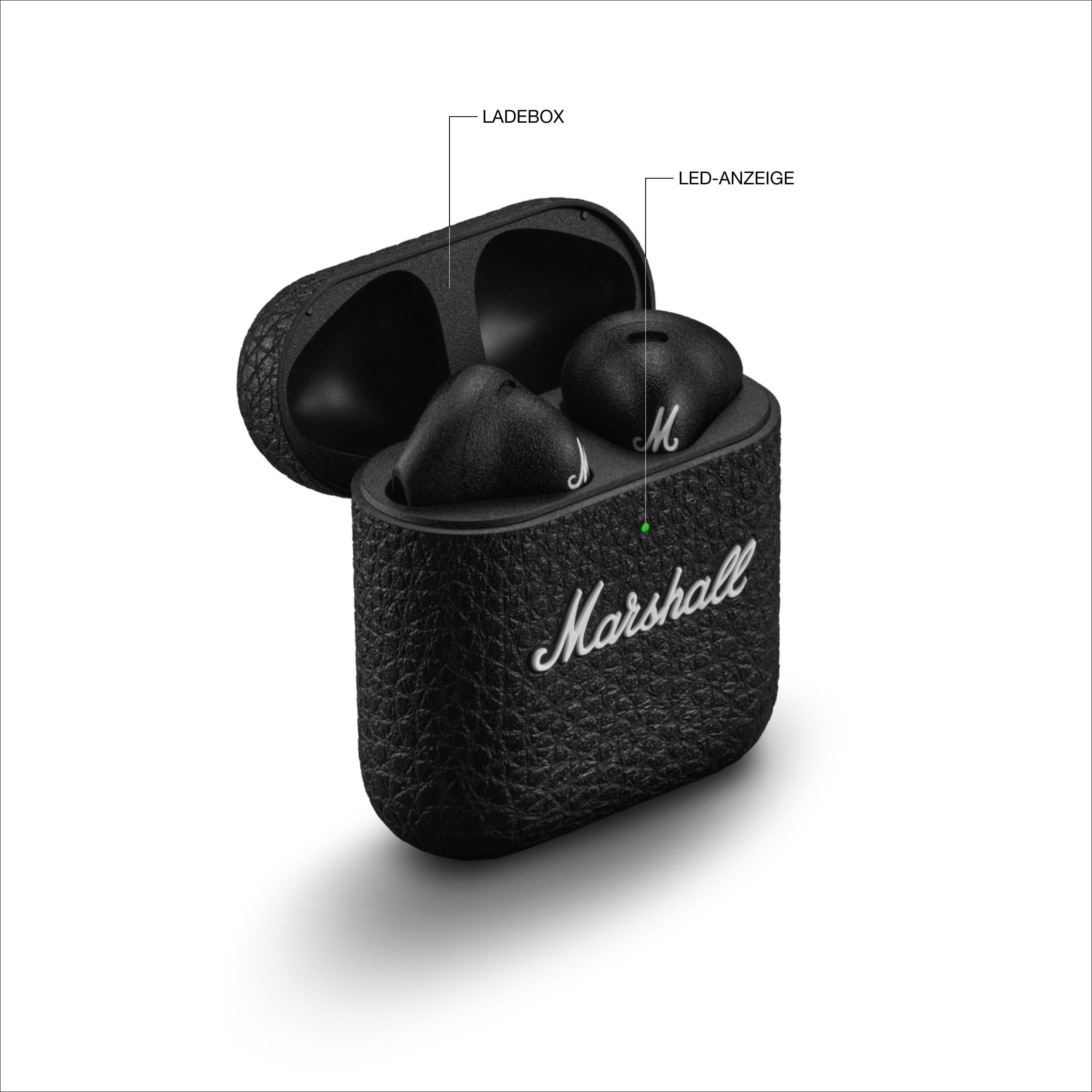Marshall Minor IV In-Ear Kopfhörer
