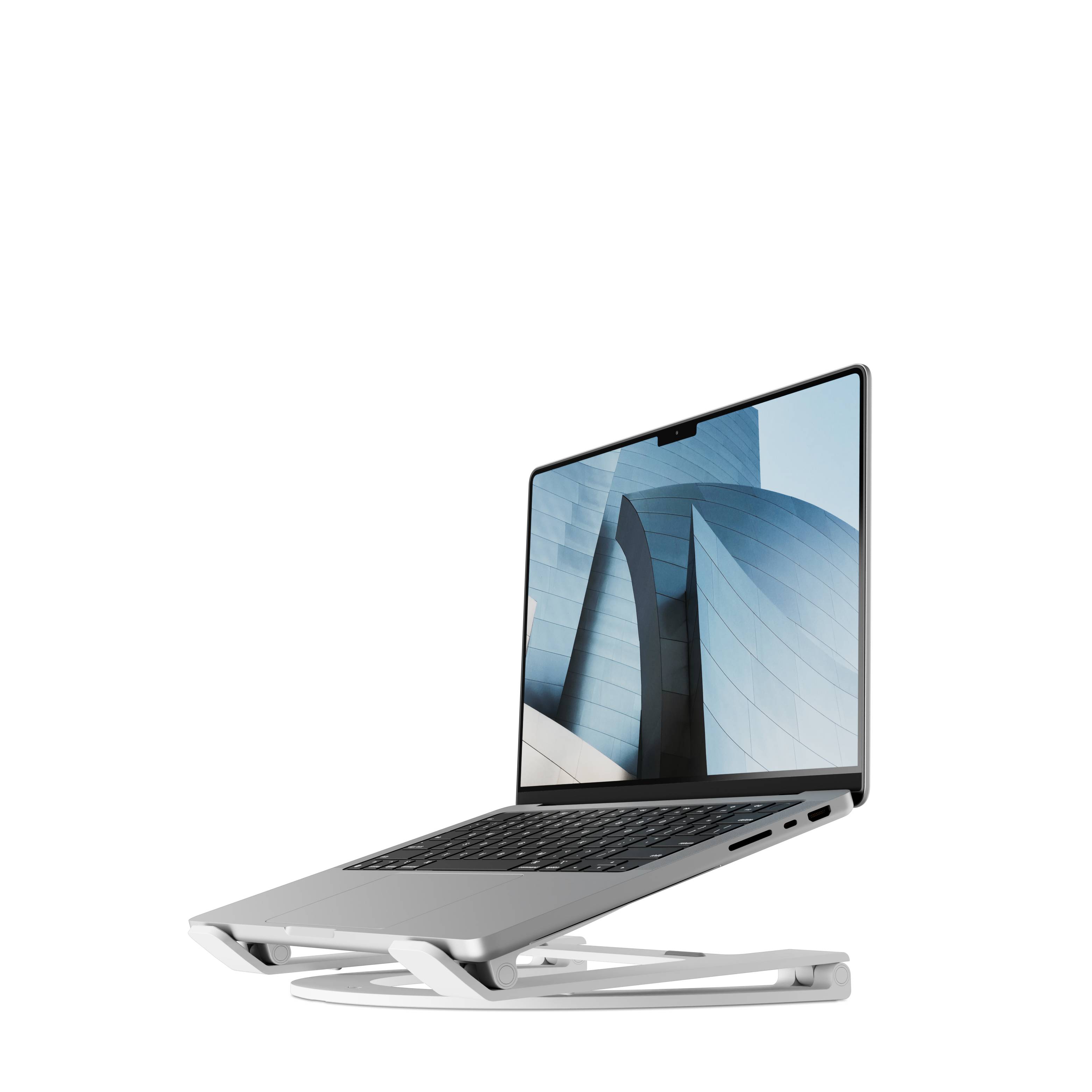 Twelve South Curve Flex Ständer für Notebook