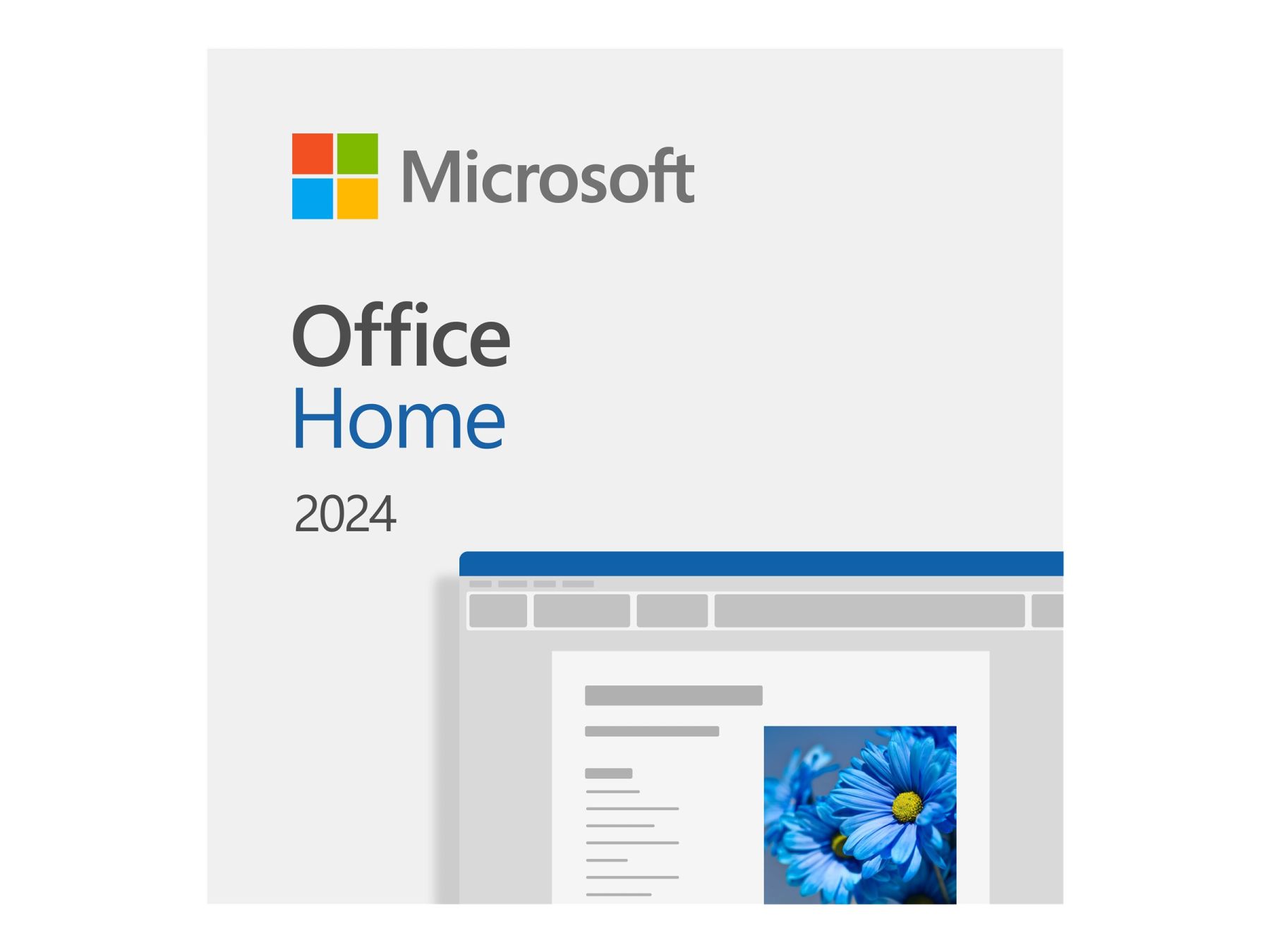 Microsoft Office Home 2024 Box