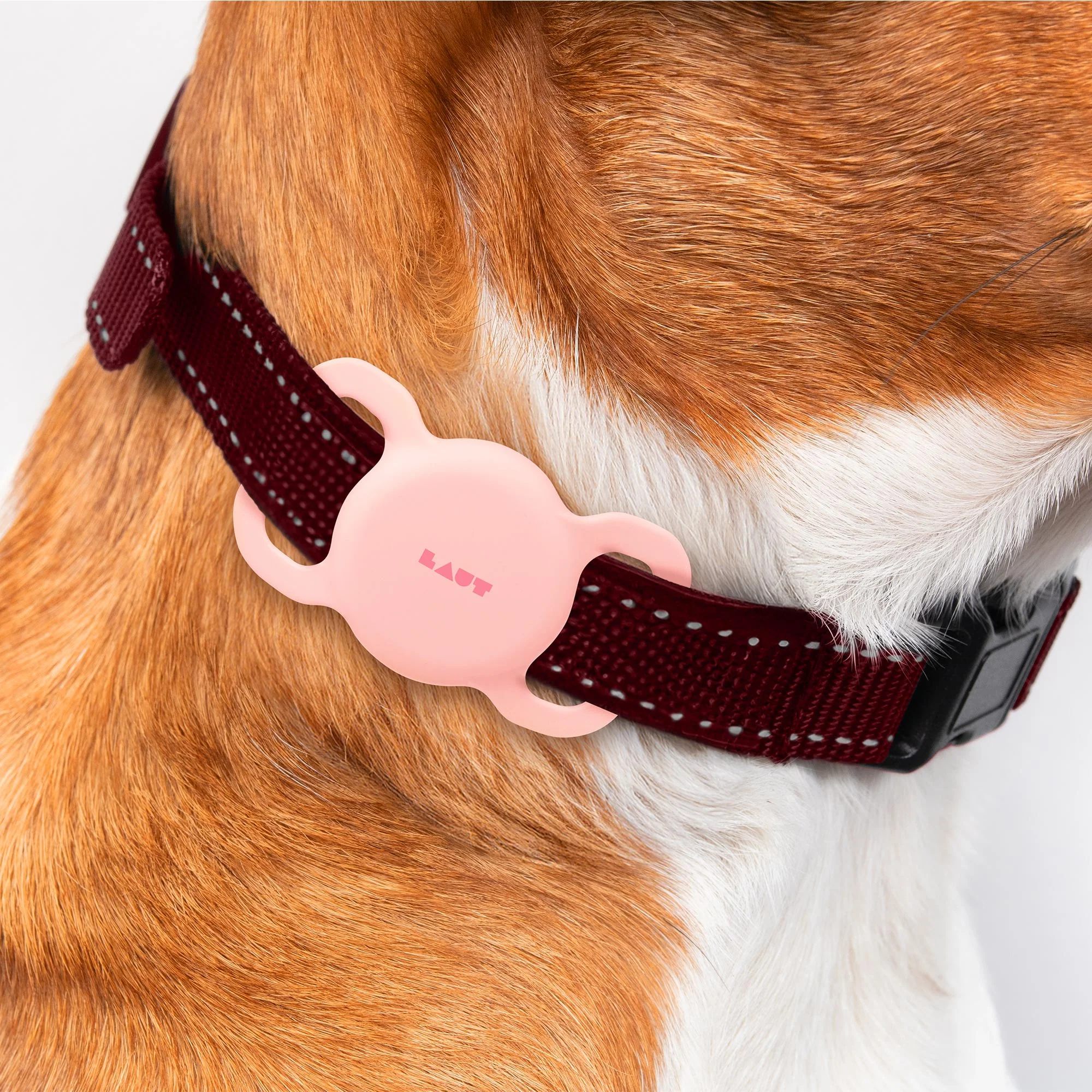 LAUT PET TAG Case für AirTag