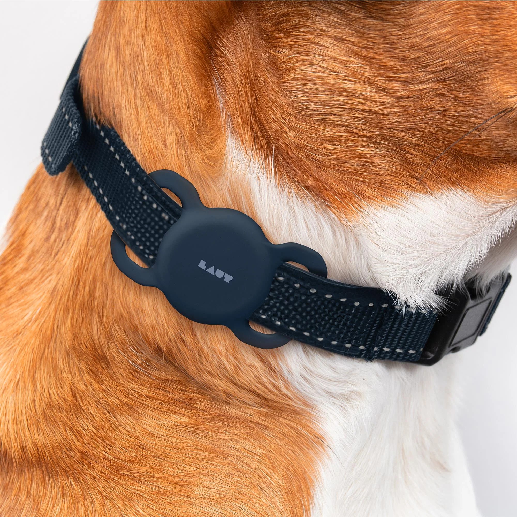 LAUT PET TAG Case für AirTag